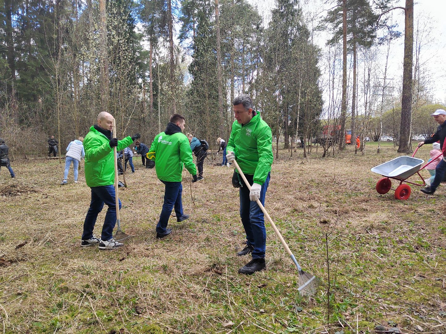 Пушкино, прокуратура, субботник, благоустройство
