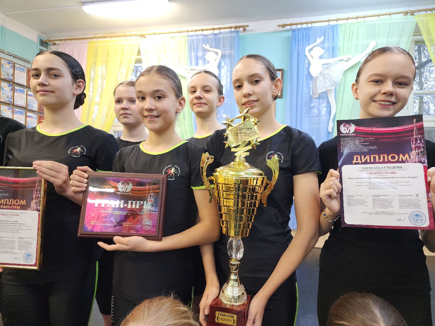 Егорьевск, Подмосковье, Московская область,вертикалки, вертикалки,