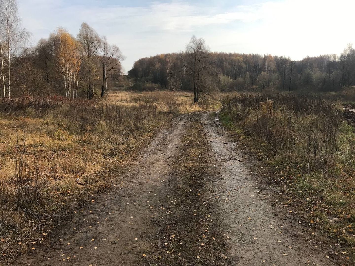 дороги, рамавтодор, раменское, ремонт дорог 2025,