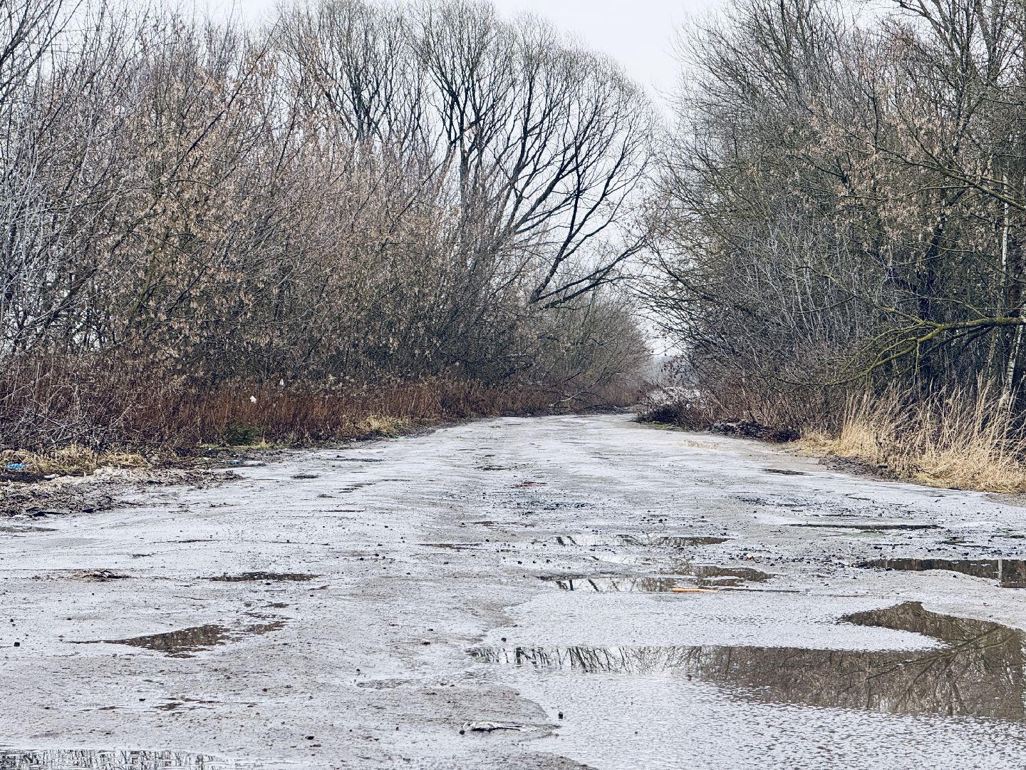 дороги, рамавтодор, раменское, ремонт дорог 2025,