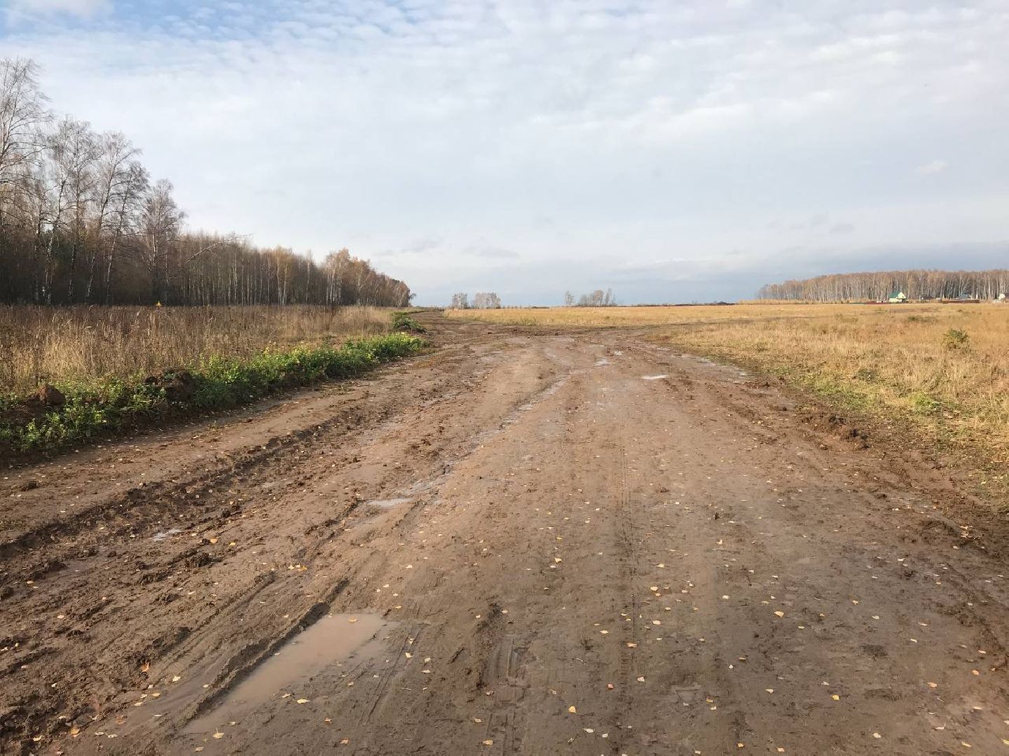 дороги, рамавтодор, раменское, ремонт дорог 2025,