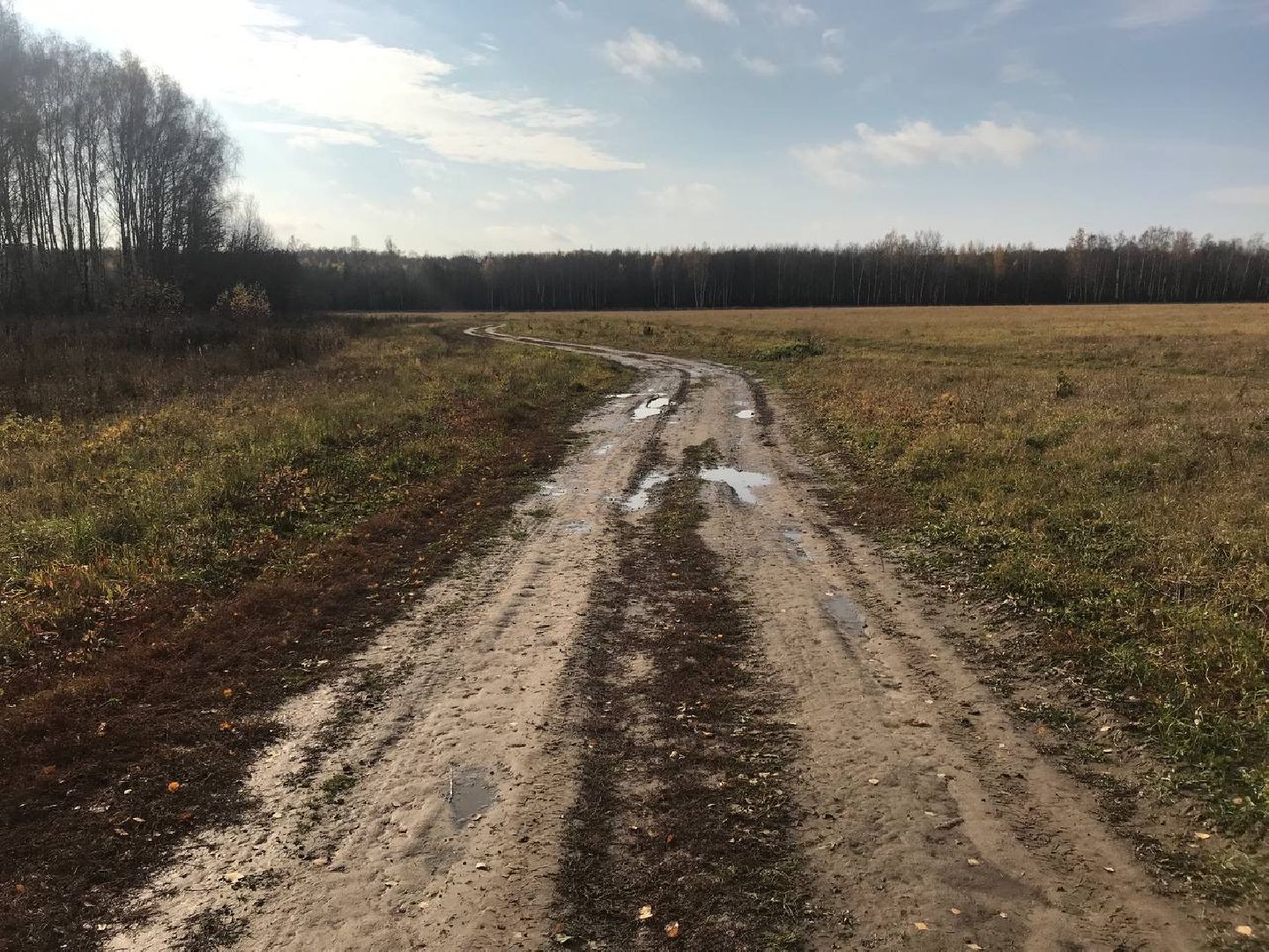 дороги, рамавтодор, раменское, ремонт дорог 2025,