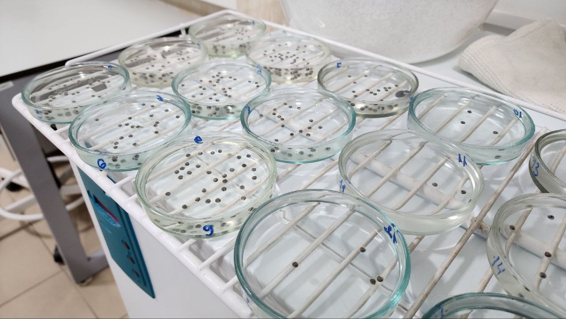 Дмитров, ВНИРО, ВНИИПРХ, Росрыболовство, Минсельхоз, вертикалка,