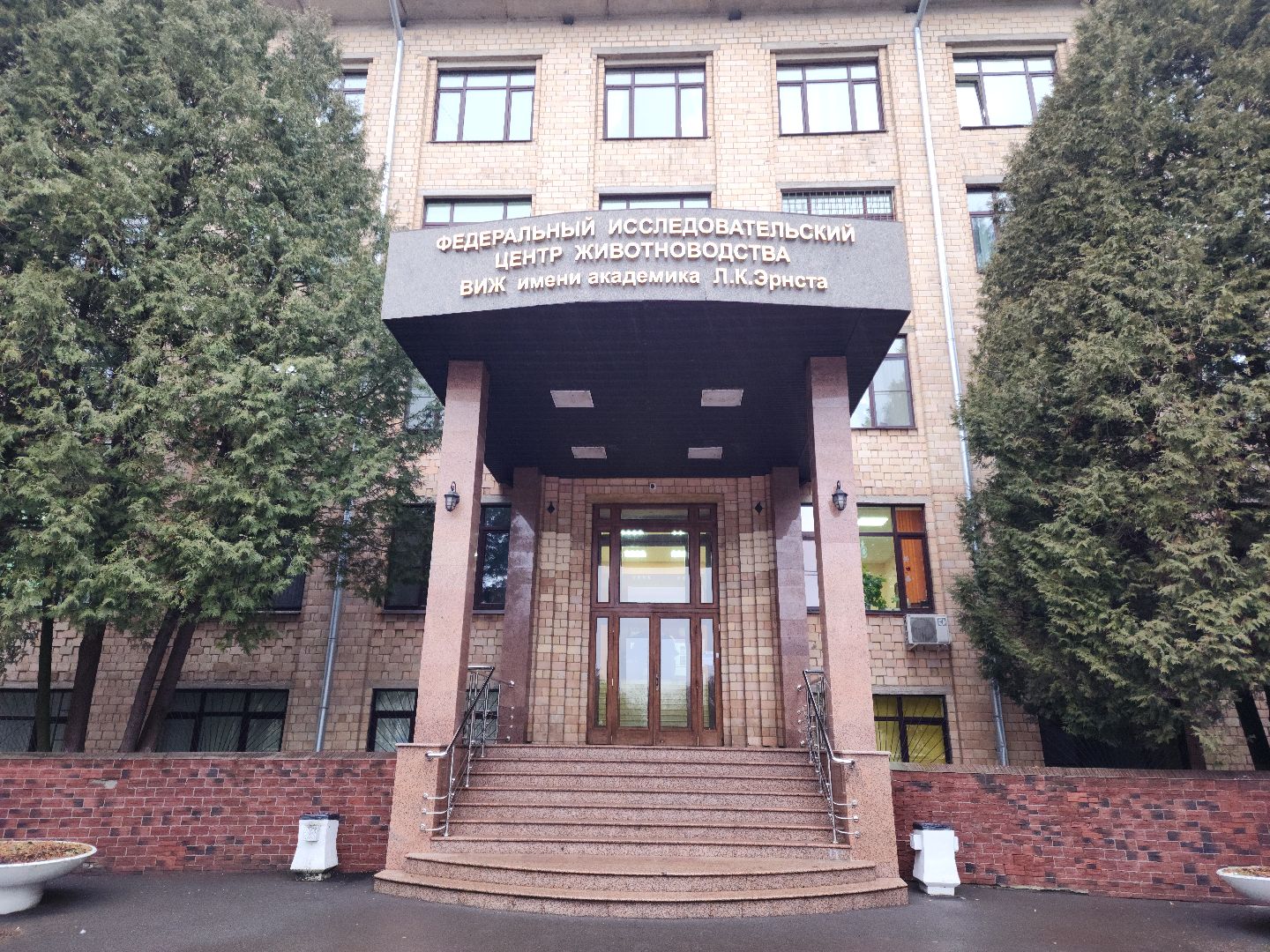 виж им эрнста, наука, Разработка, Пищевая добавка,