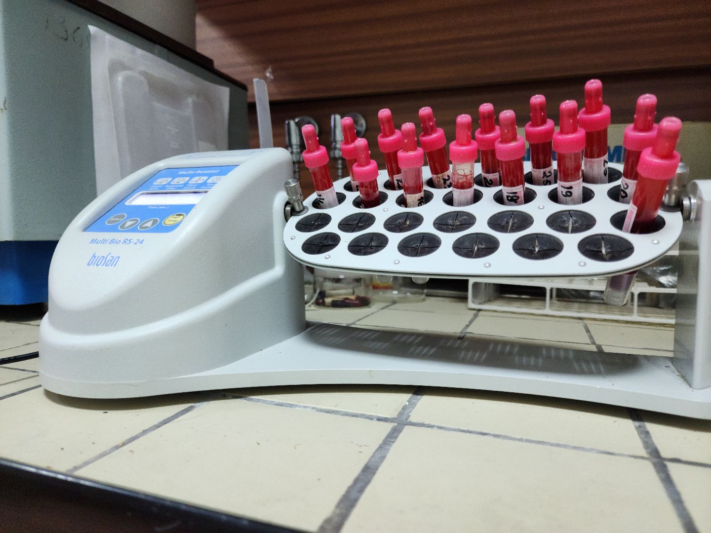 виж им эрнста, наука, Разработка, Пищевая добавка,