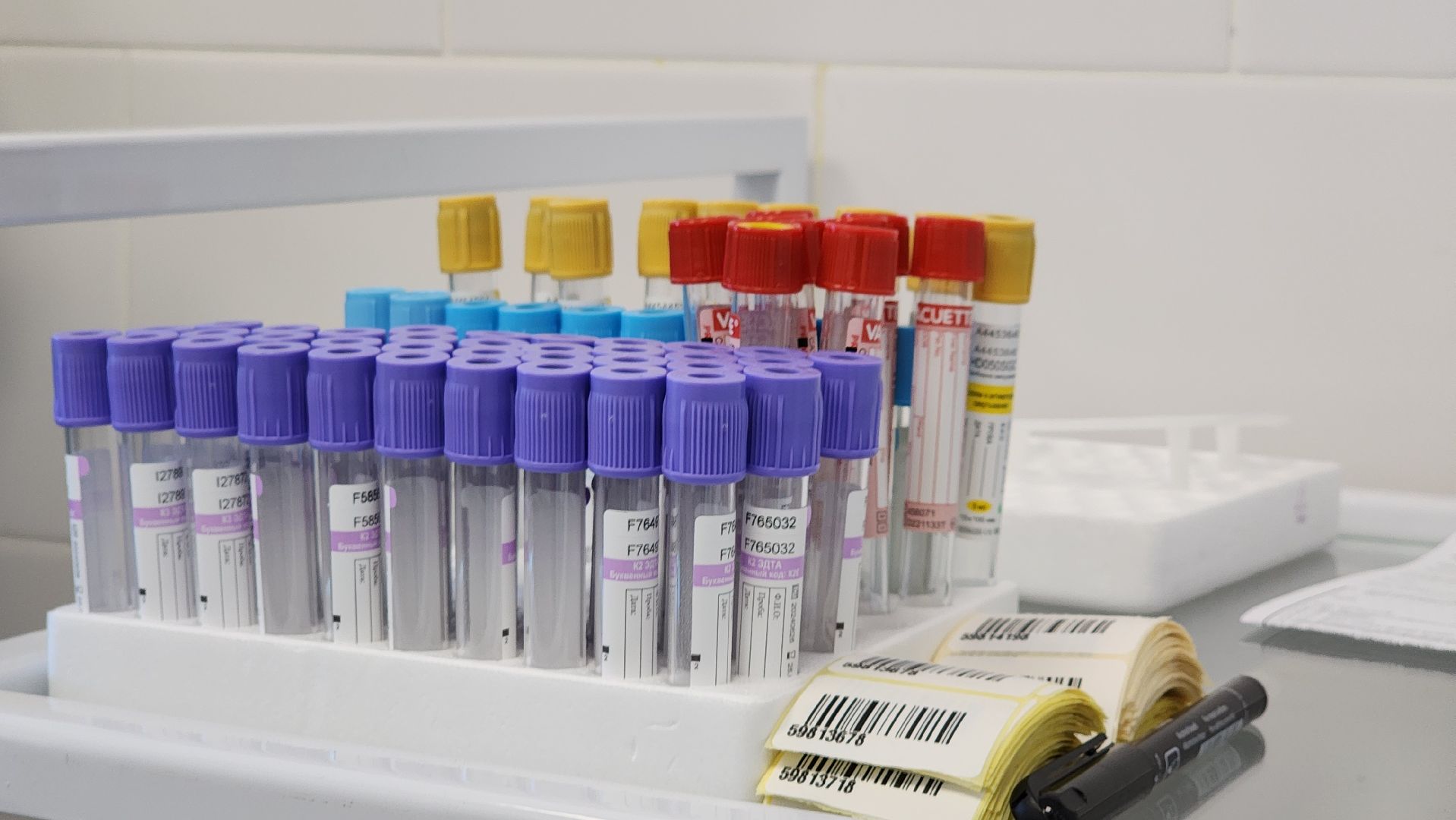 медицина, диспансеризация, Лосино-Петровский,