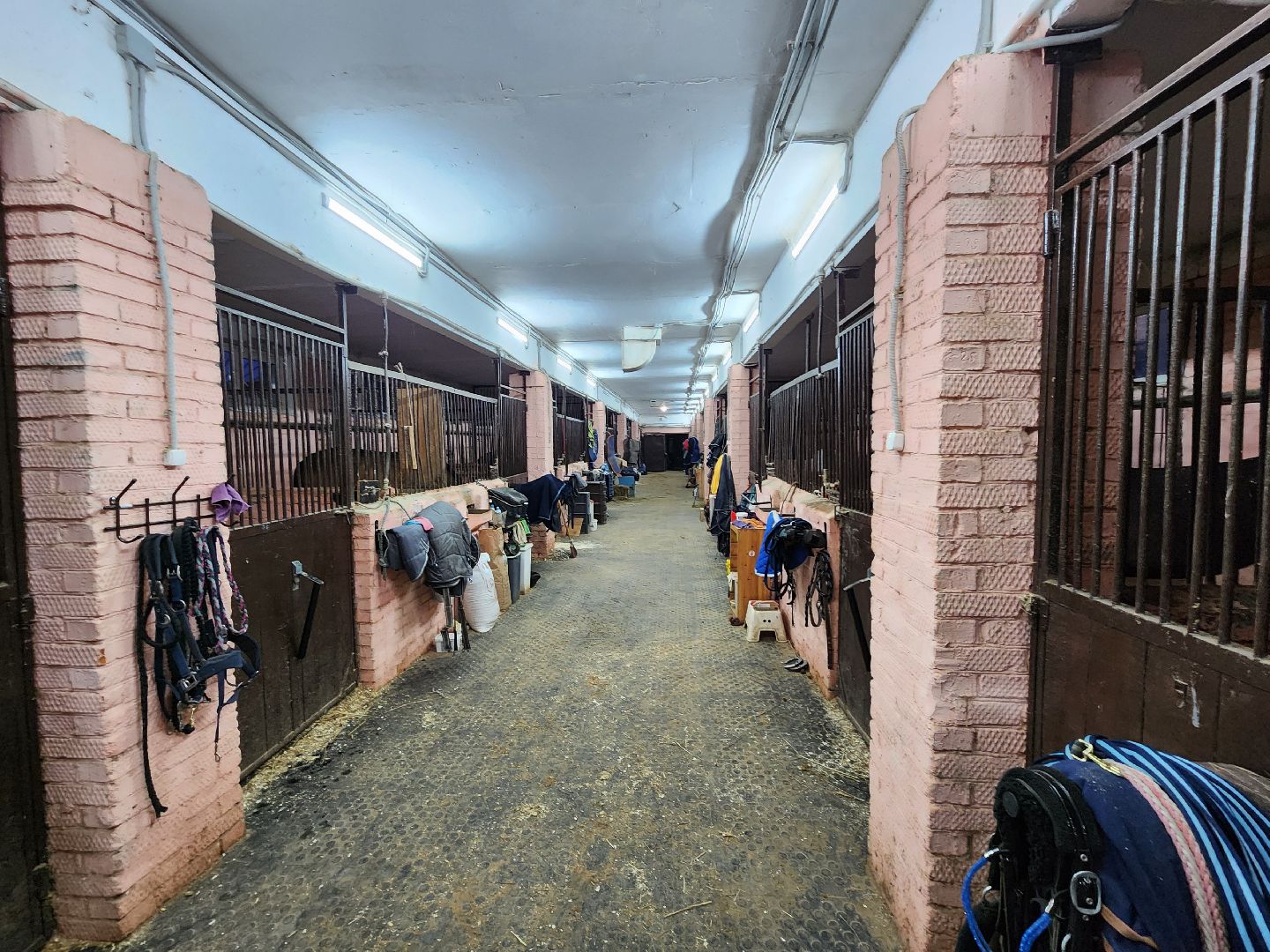 химки, конный спорт, олимпиада, вертикалка,