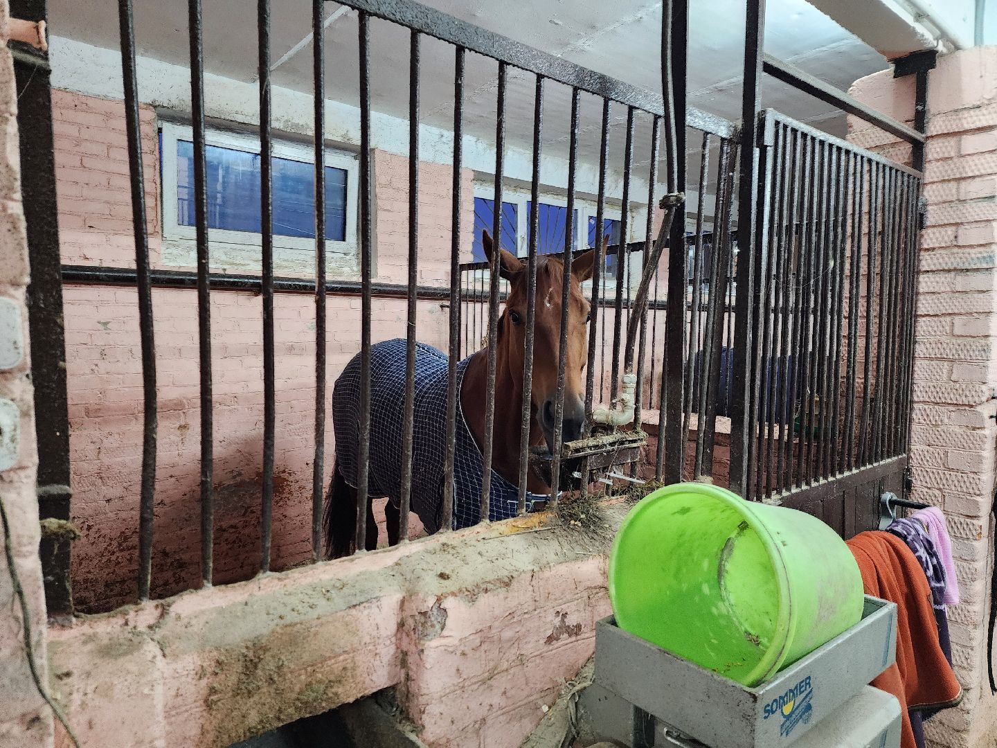 химки, конный спорт, олимпиада, вертикалка,