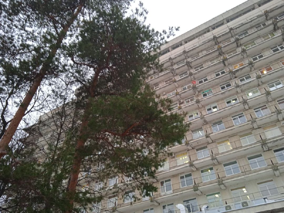 Жуковский, общество