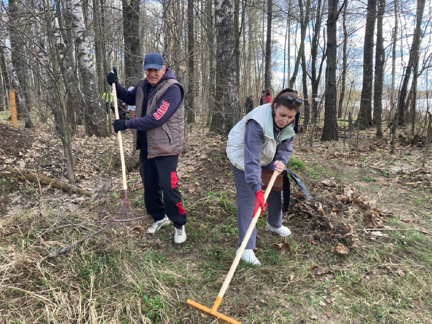 Солнечногорск, благоустройство, субботник, пляж, озеро
