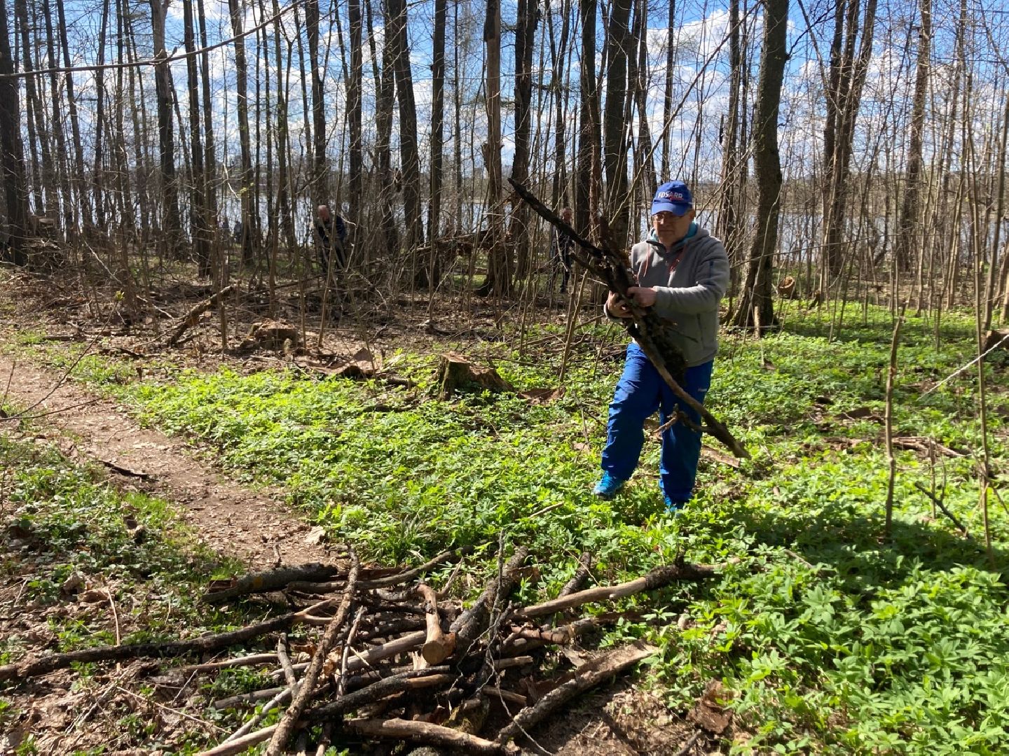 Солнечногорск, благоустройство, субботник, пляж, озеро