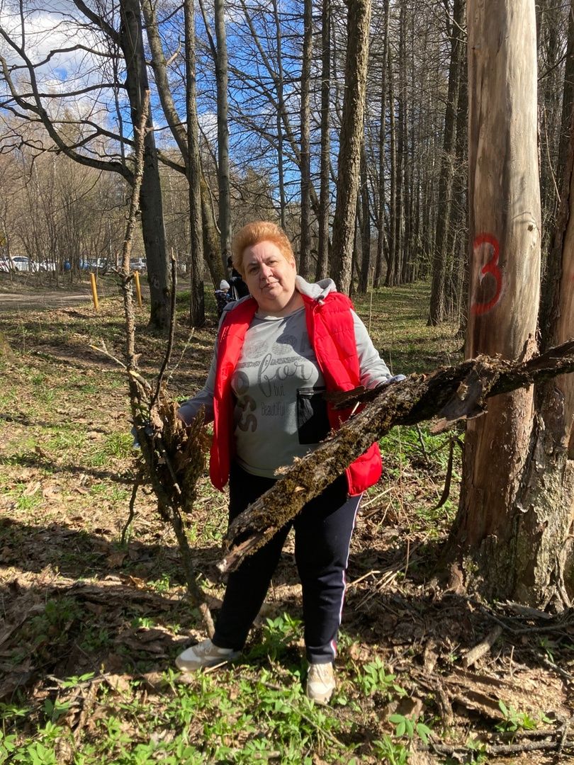 Солнечногорск, благоустройство, субботник, пляж, озеро