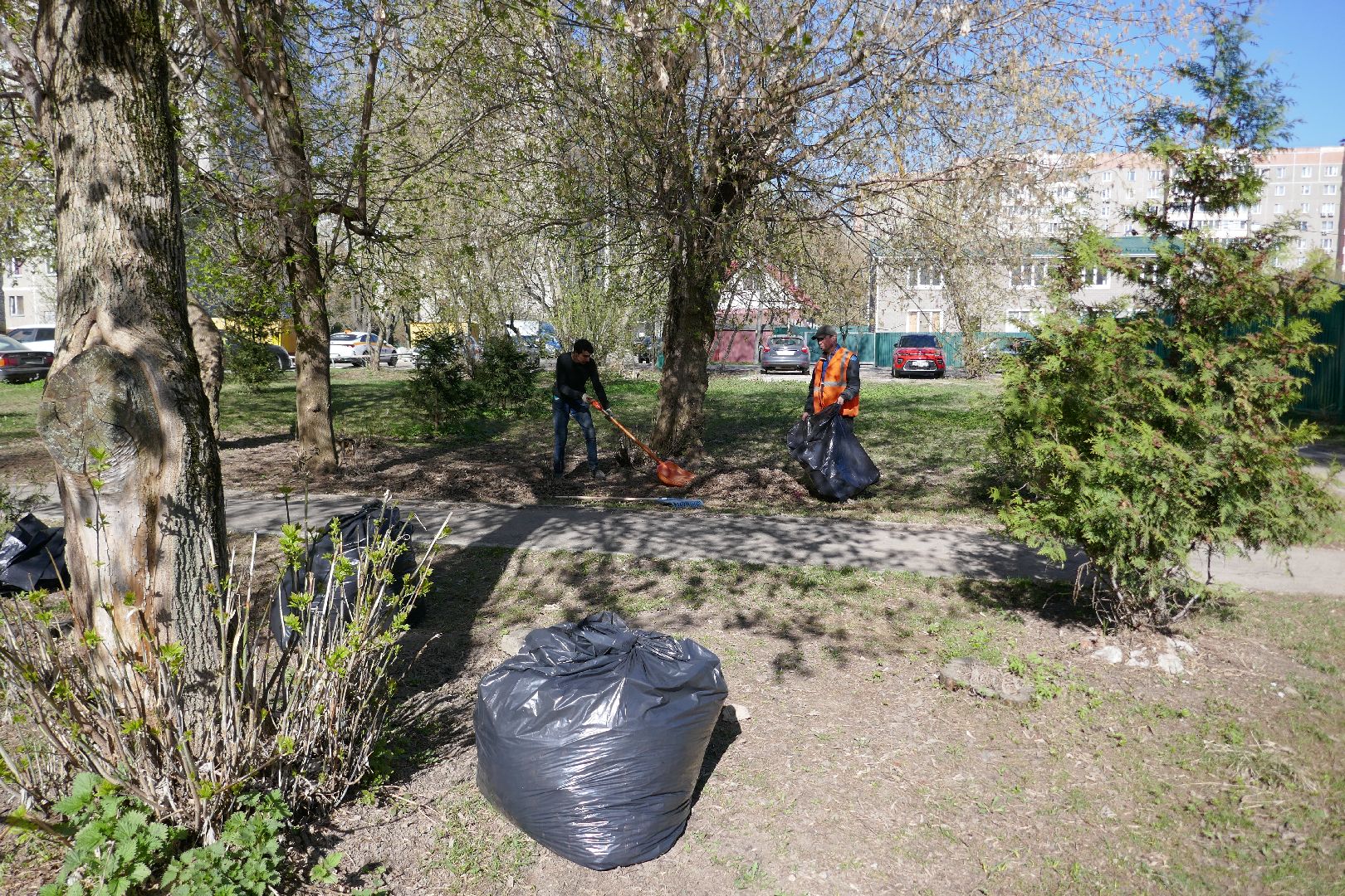 Подольск, благоустройство, субботник, уборка