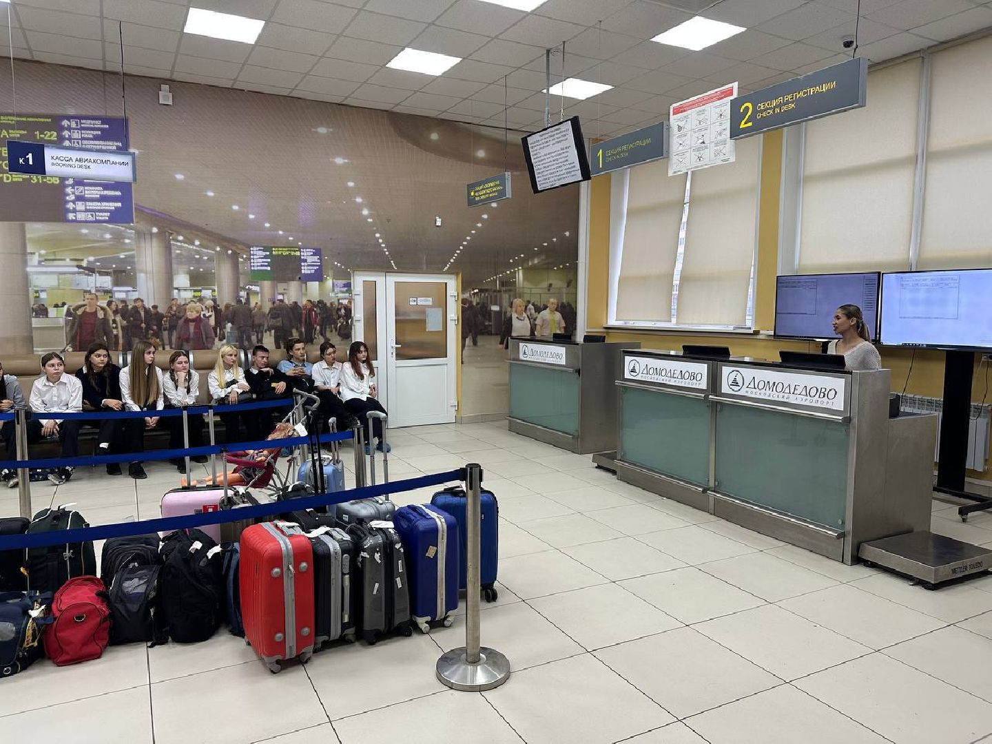 профориентация, егэ, жизнь, школьники,