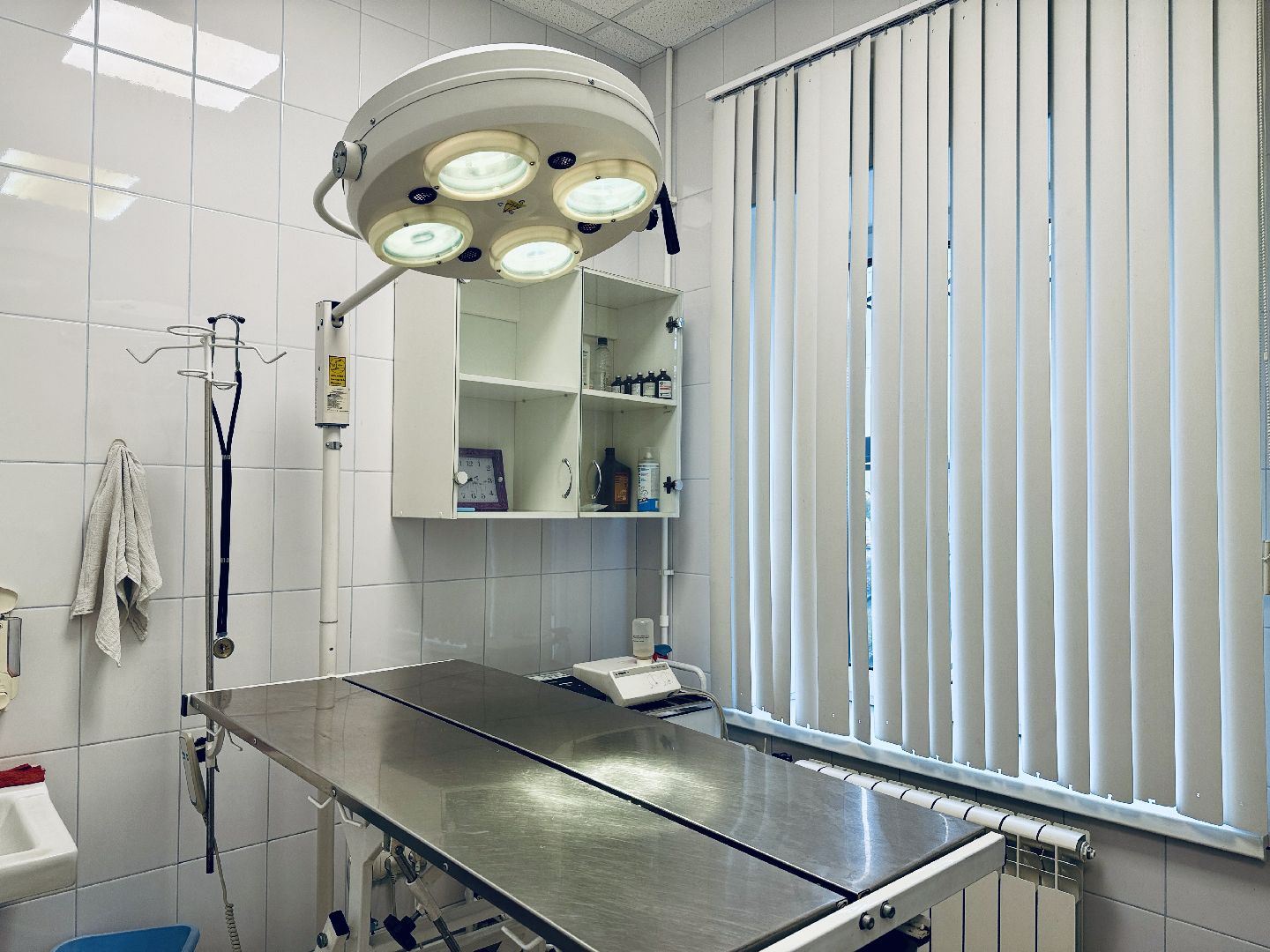 бешенство, раменское, ветеринар, здоровье, клещи,