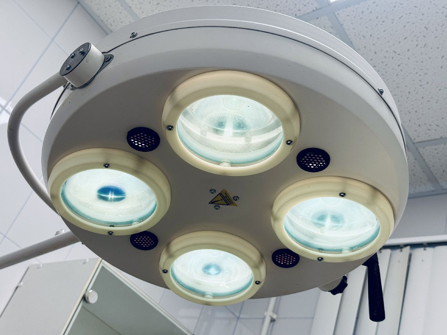 бешенство, раменское, ветеринар, здоровье, клещи,