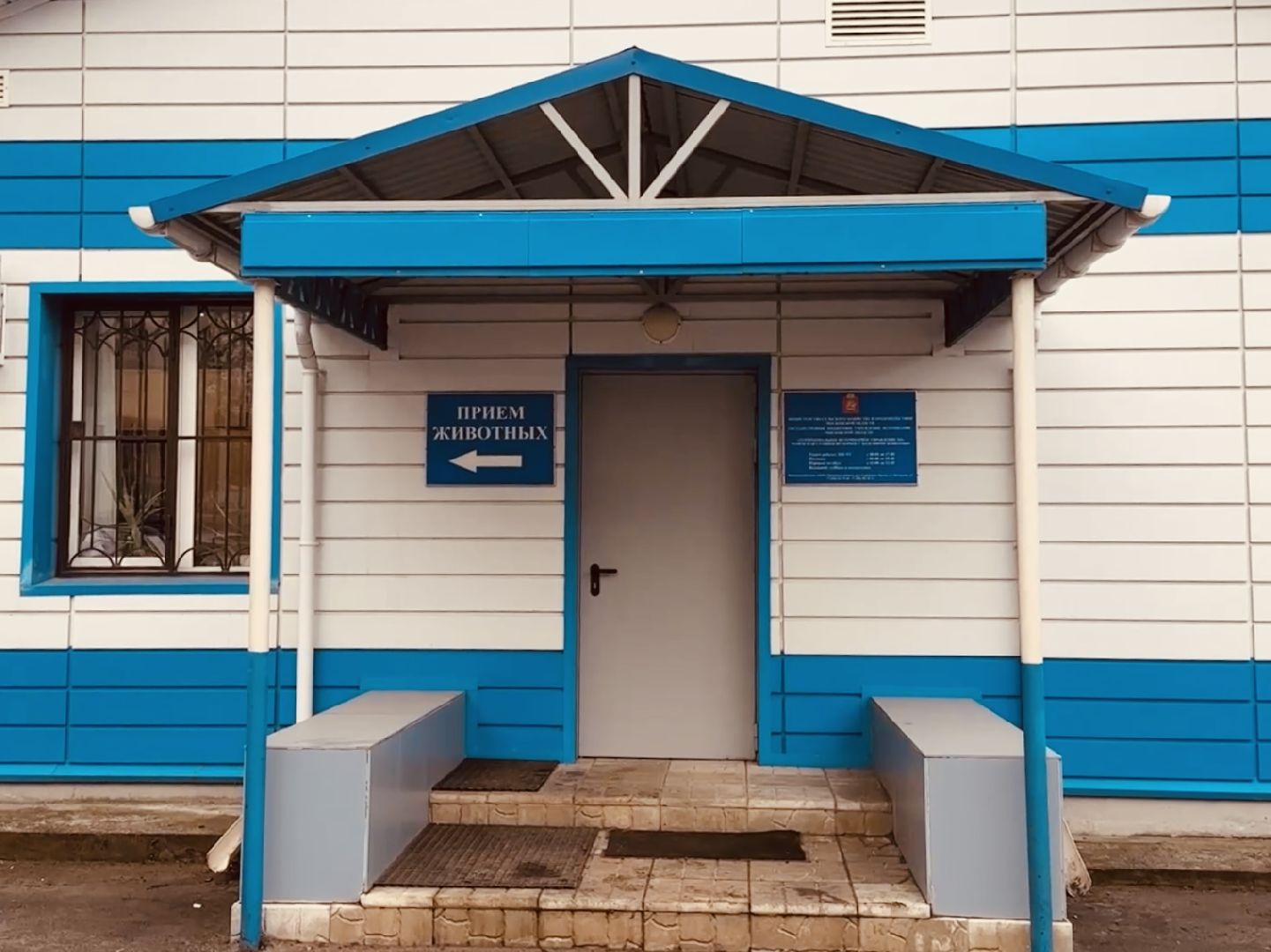 бешенство, раменское, ветеринар, здоровье, клещи,