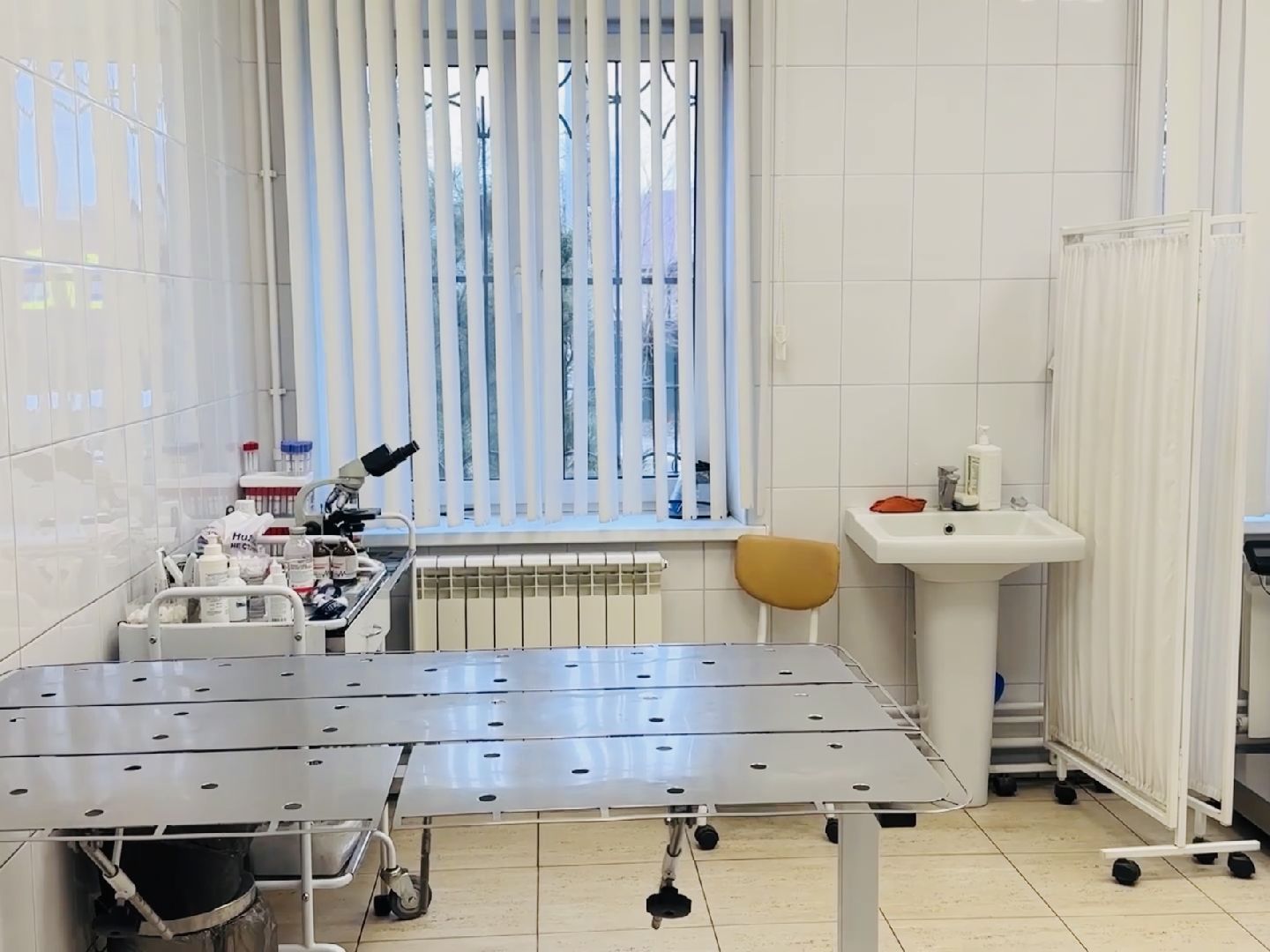 бешенство, раменское, ветеринар, здоровье, клещи,