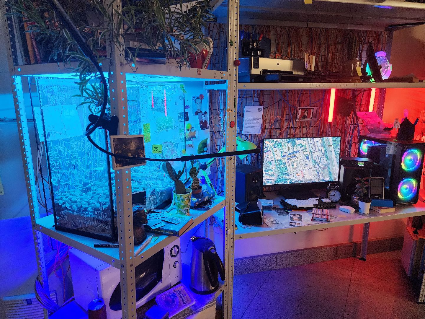 долгопрудный, мфти, Лаборатория Культура, медиаискусство, звуки солнца,