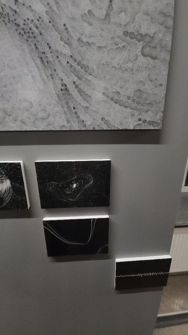 долгопрудный, мфти, Лаборатория Культура, медиаискусство, звуки солнца,