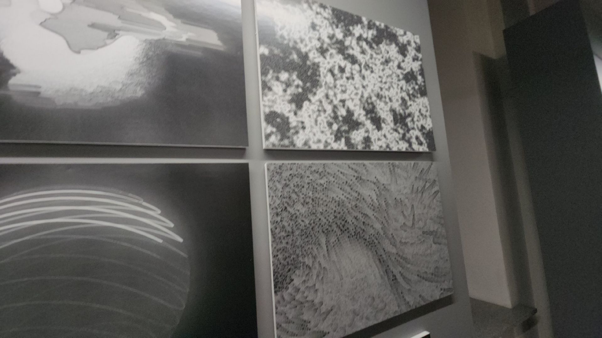 долгопрудный, мфти, Лаборатория Культура, медиаискусство, звуки солнца,