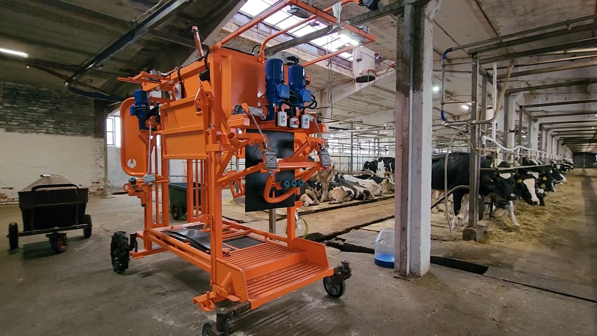 животноводство, животноводческое хозяйство, станок для обработки копыт, рабочий поселок Обухово, Богородский городской округ, вертикалки,