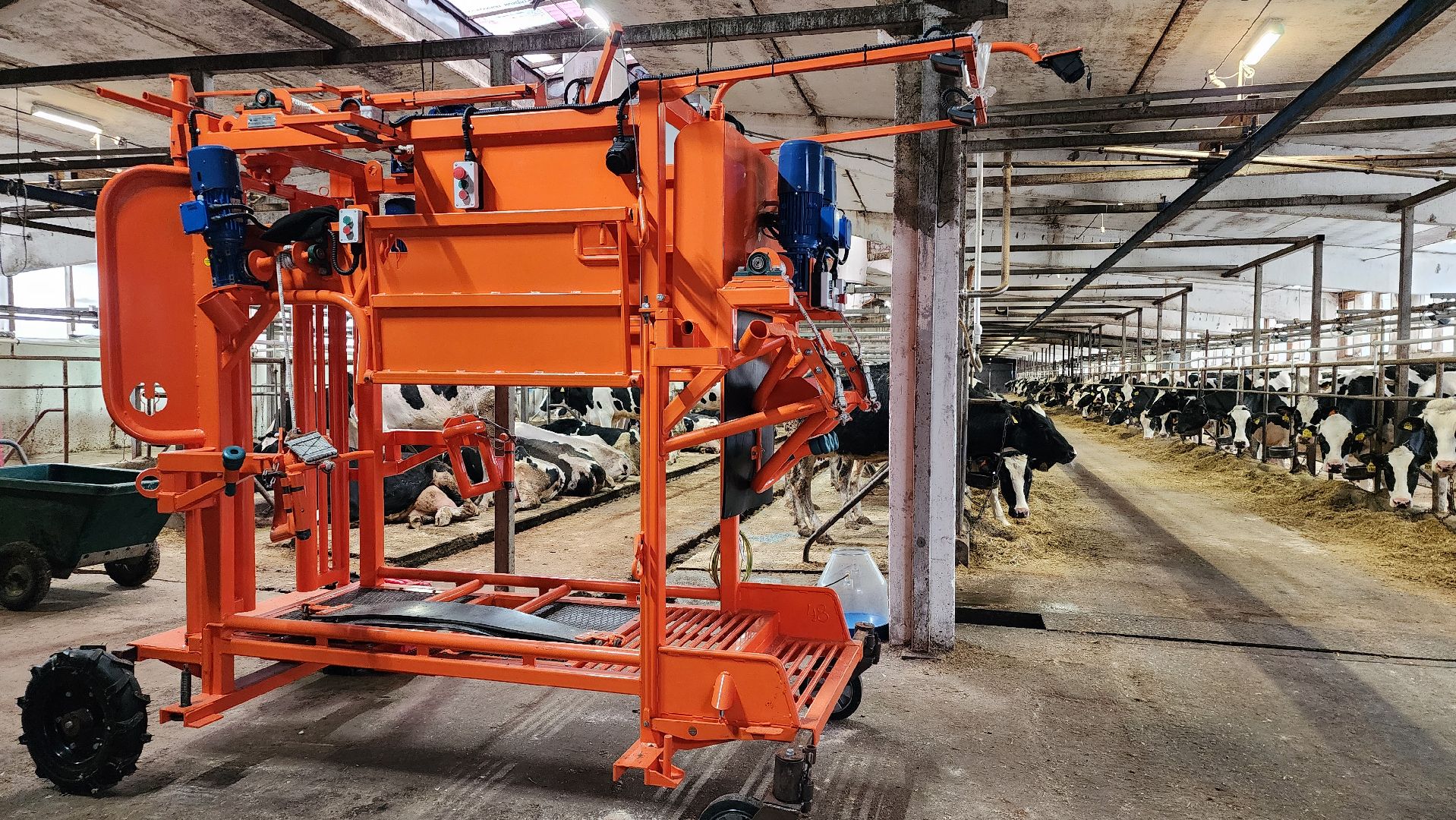 животноводство, животноводческое хозяйство, станок для обработки копыт, рабочий поселок Обухово, Богородский городской округ, вертикалки,