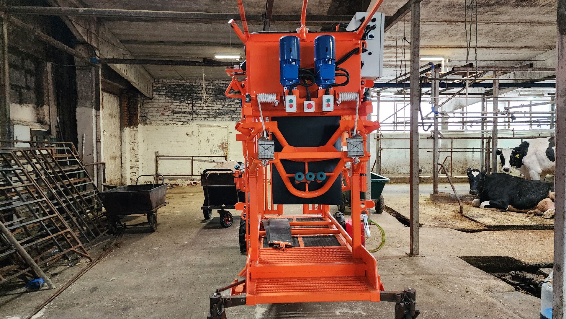 животноводство, животноводческое хозяйство, станок для обработки копыт, рабочий поселок Обухово, Богородский городской округ, вертикалки,