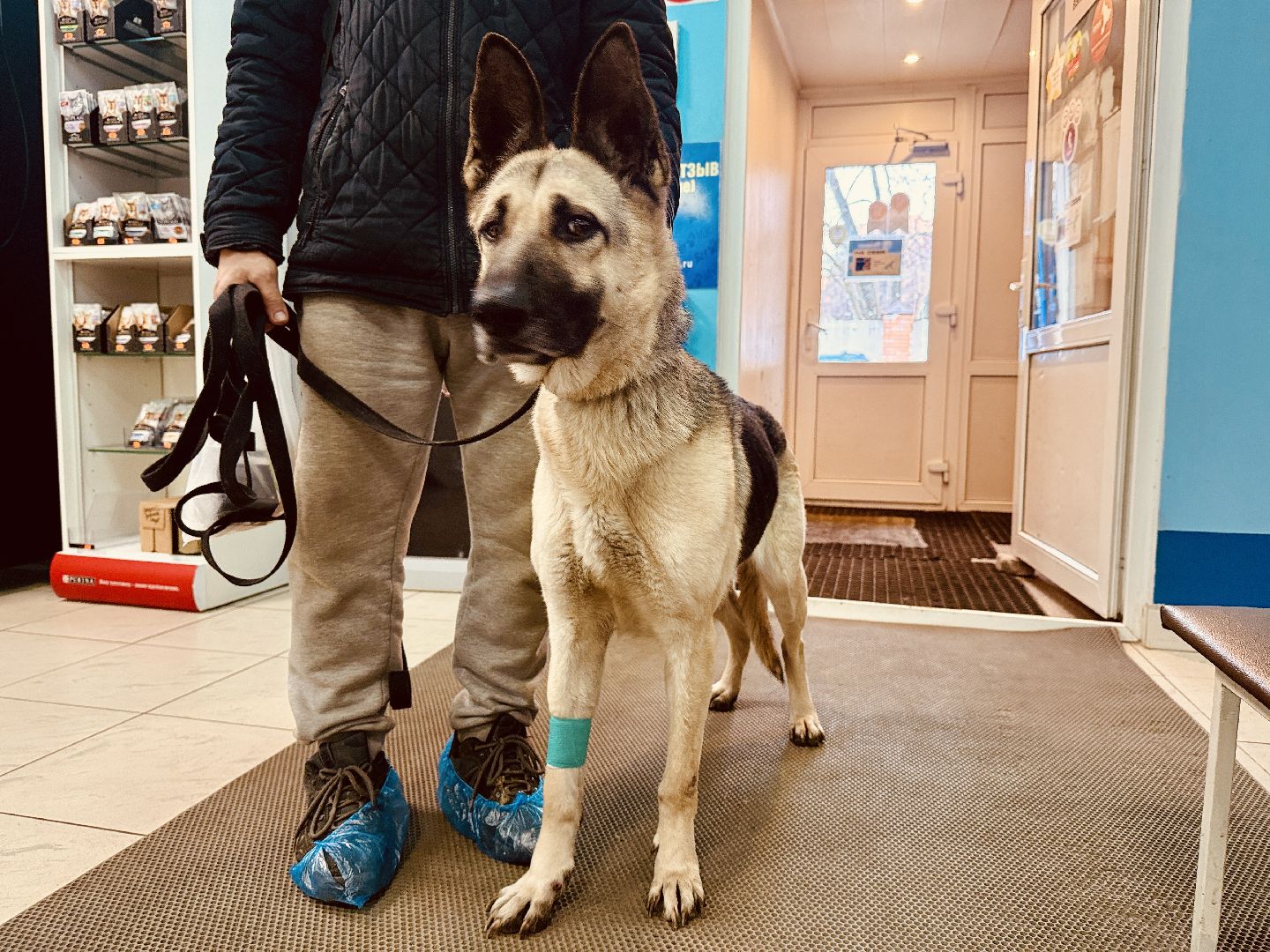 клещи, ветеринар, раменское, подмосковье,