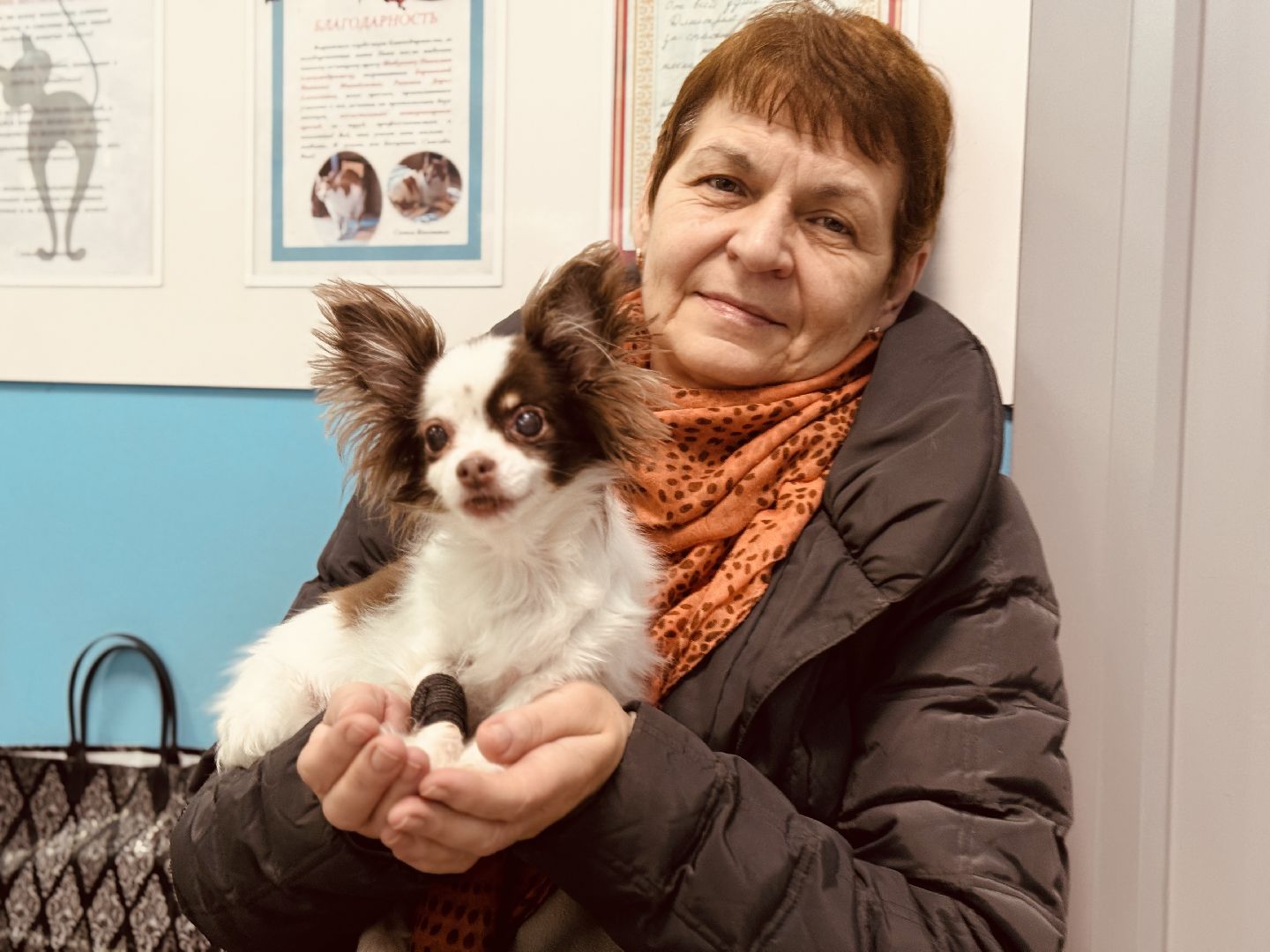 клещи, ветеринар, раменское, подмосковье,