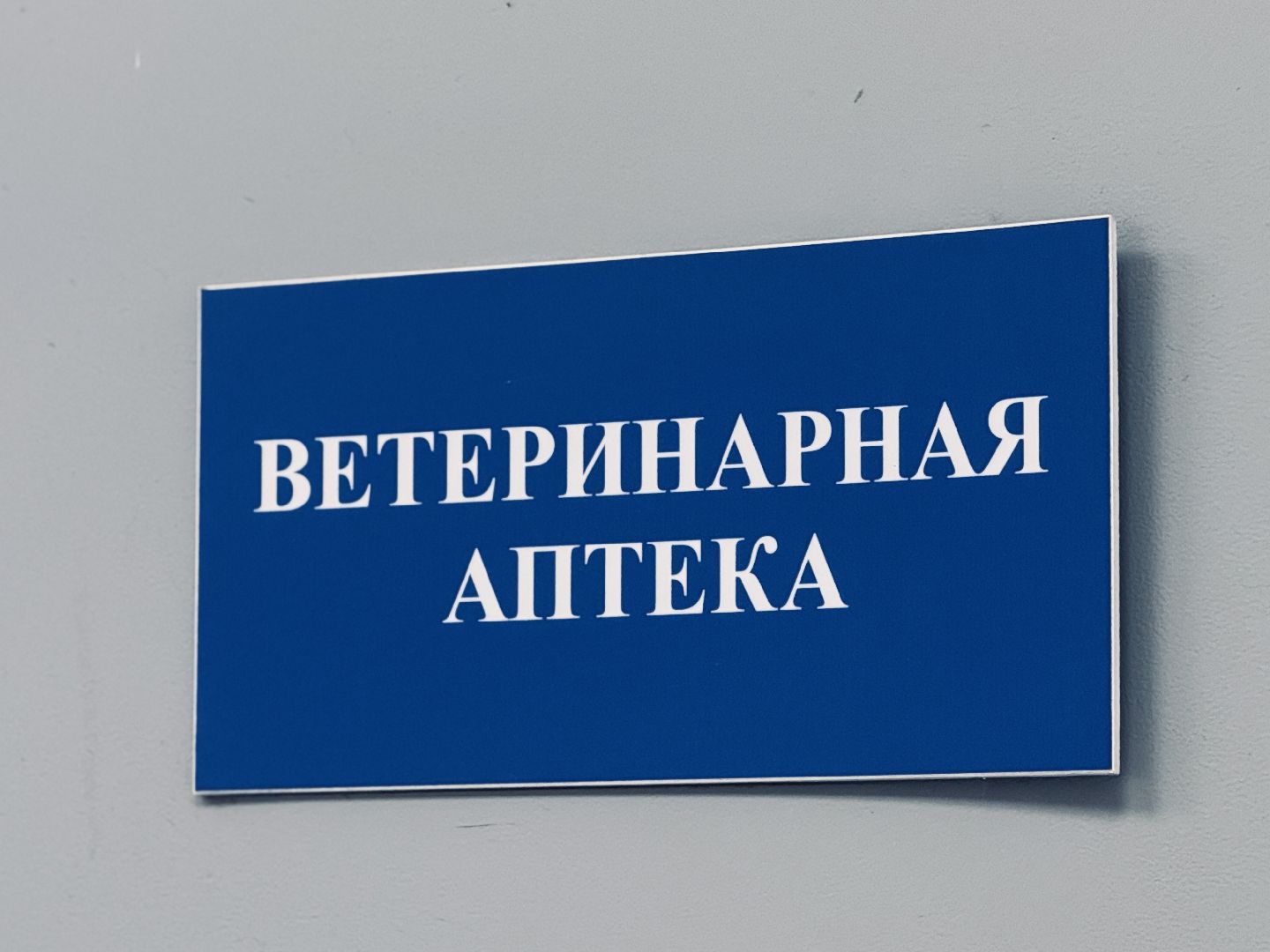 клещи, ветеринар, раменское, подмосковье,