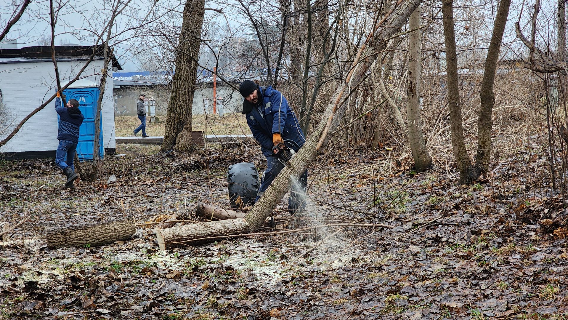 вертикалки, благоуствойство, субботник, уборка, дзержинский,