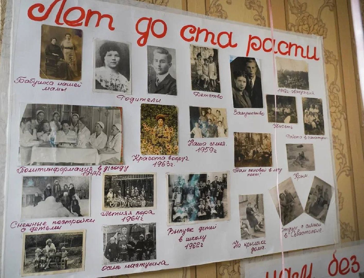 котельники, волонтеры, мгер, блокада ленинграда, помощь, поддержка, вертикалки,