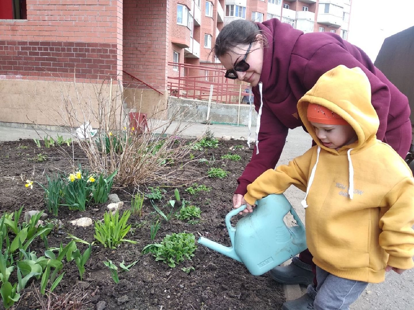 Дмитров, Благоустройство