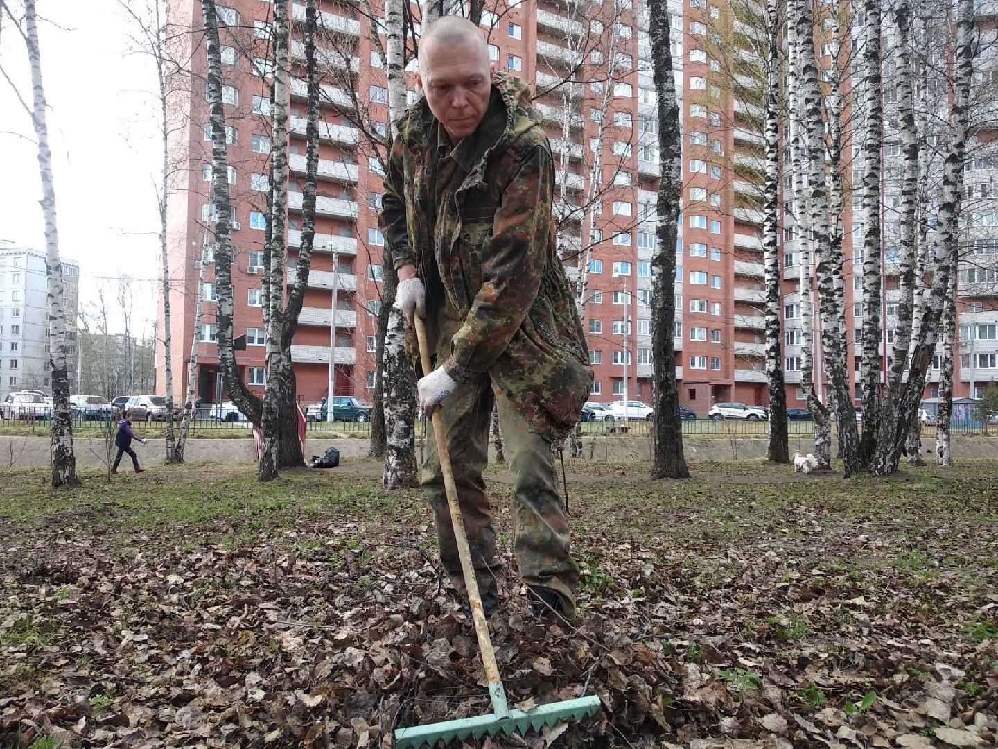Дмитров, Благоустройство