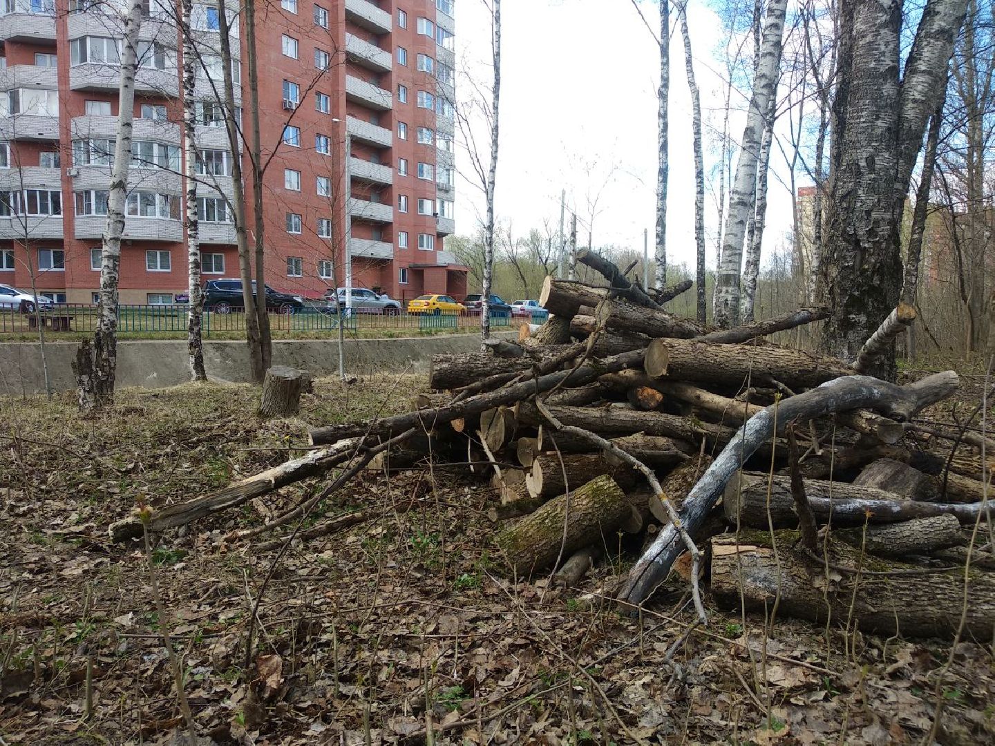 Дмитров, Благоустройство