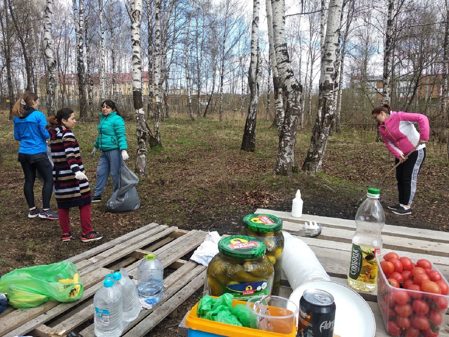 Дмитров, Благоустройство