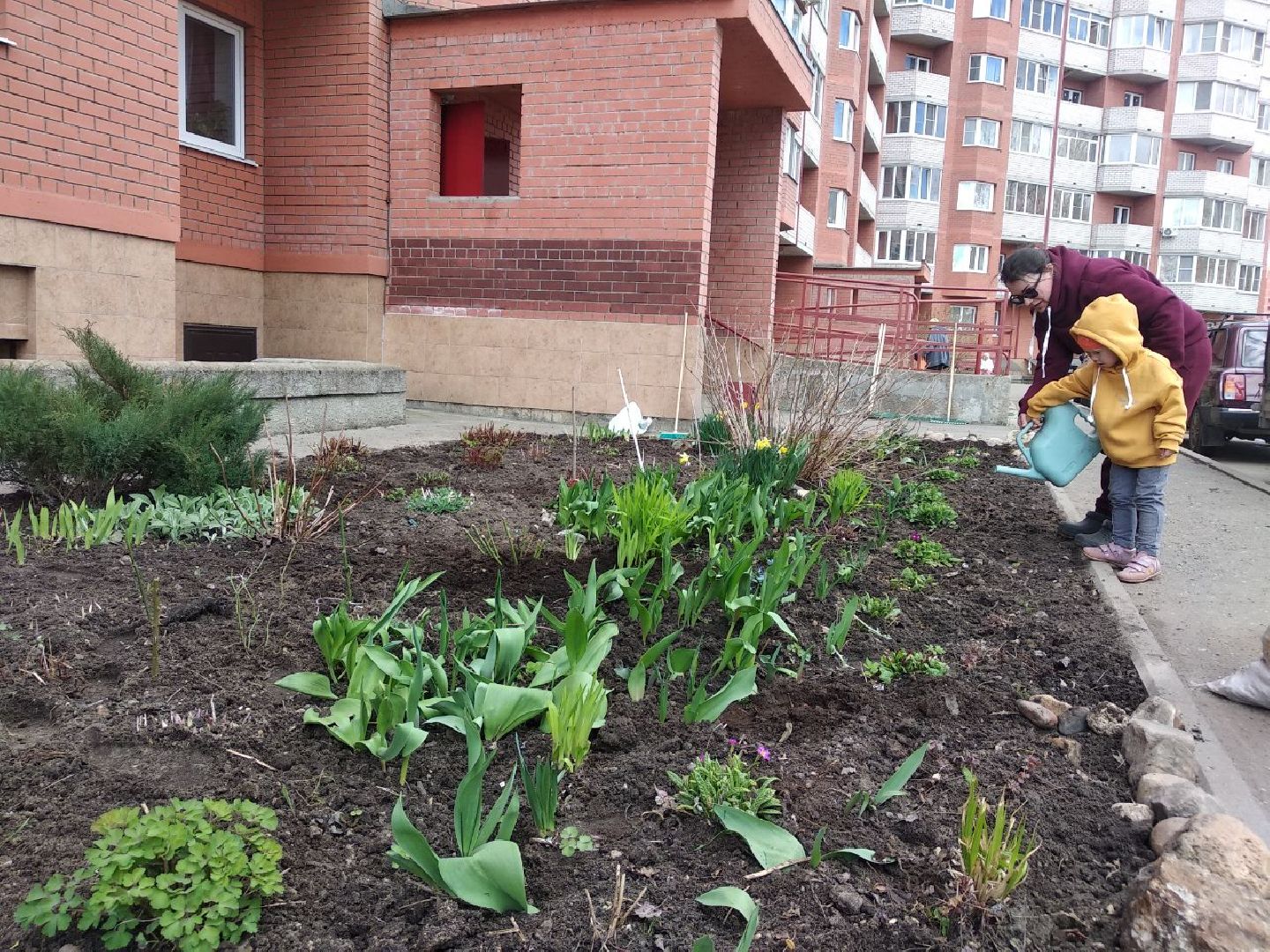 Дмитров, Благоустройство