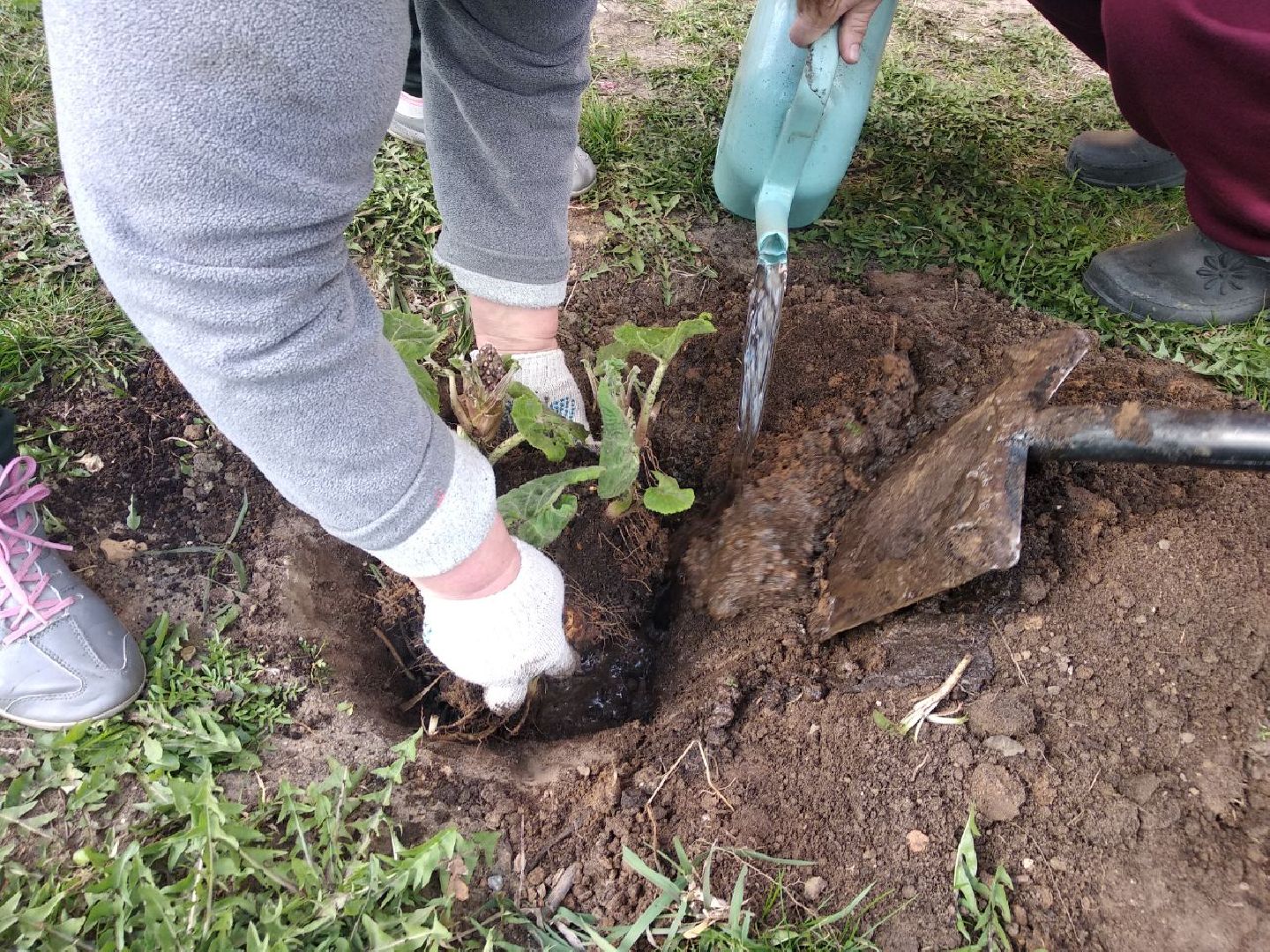 Дмитров, Благоустройство