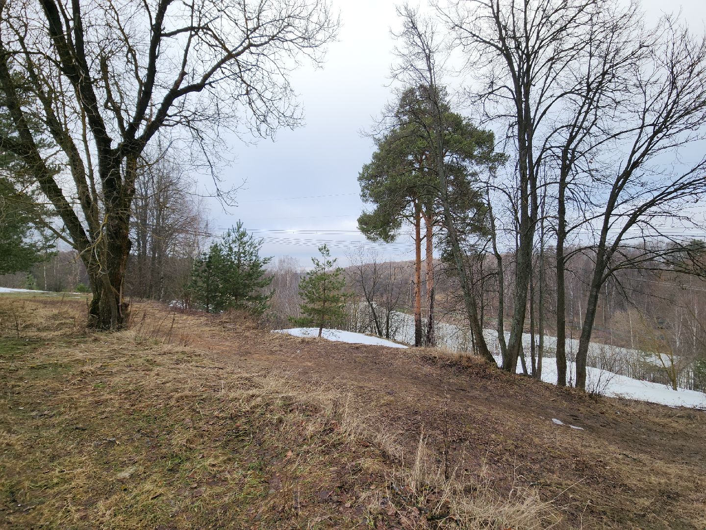 вертикалки, лыжный стадион, красногорск, аномальная погода,