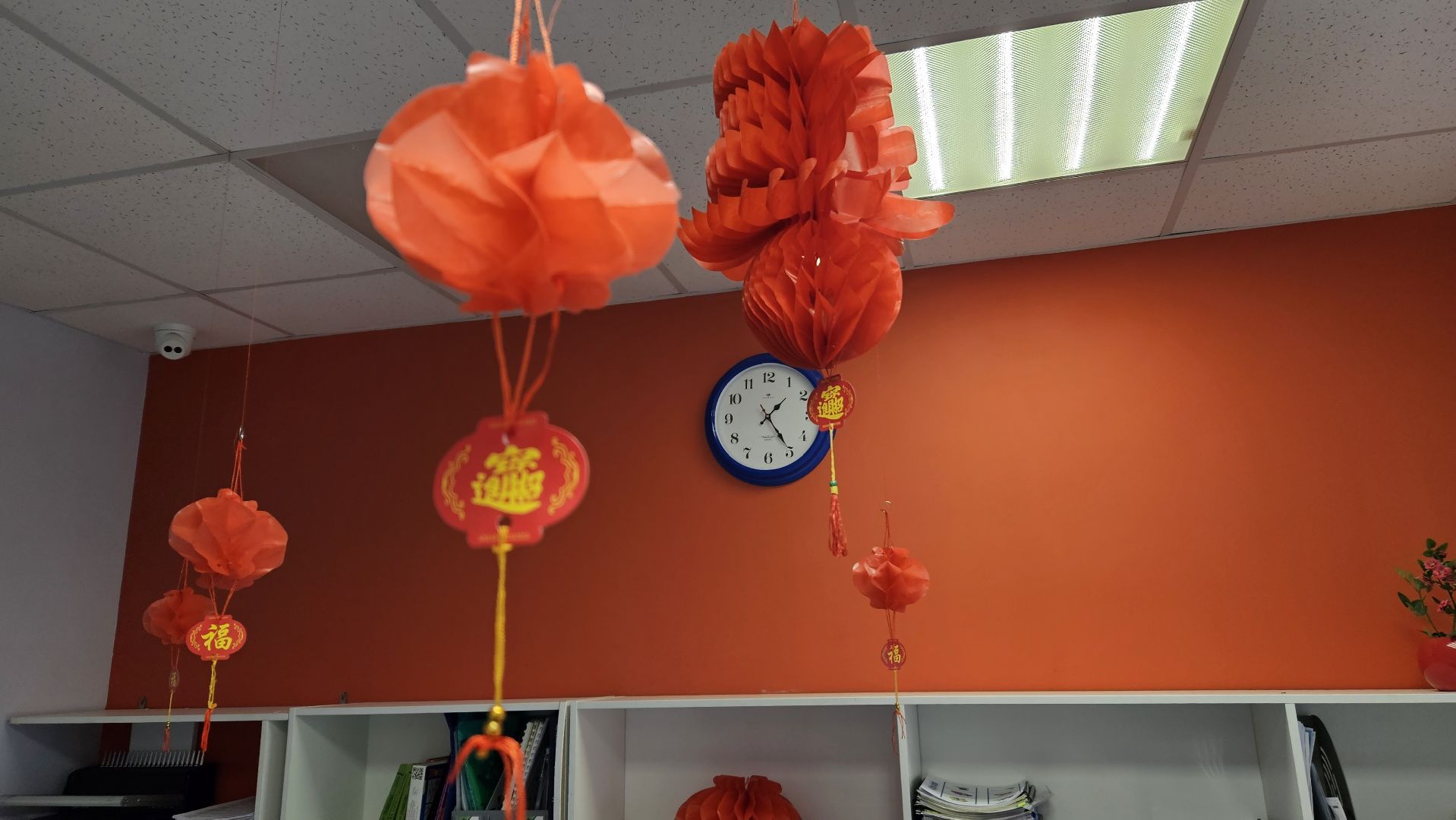 образование, китай, жуковский,