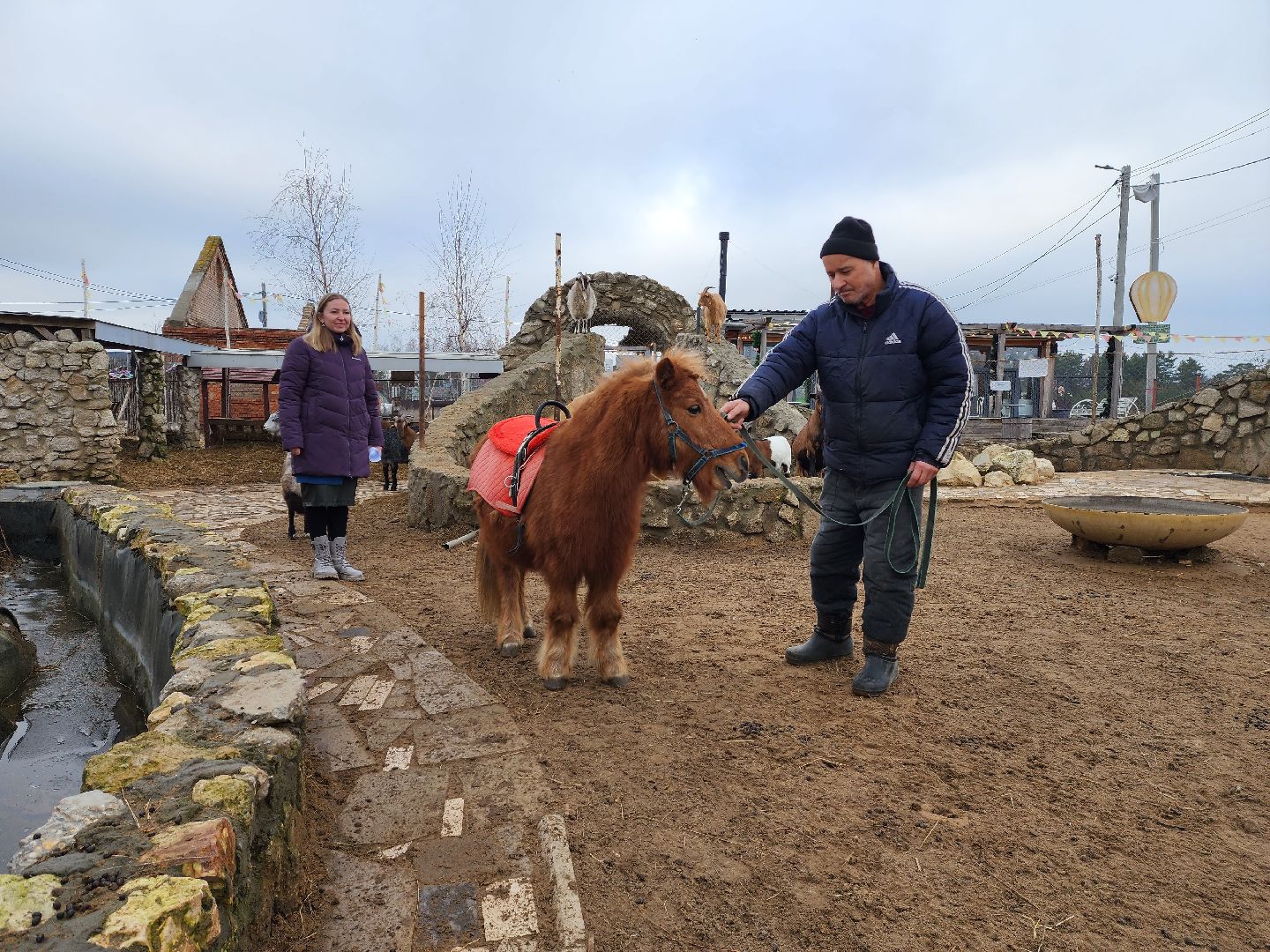 раменское, туризм, ферма 56, пони, вертикалка,