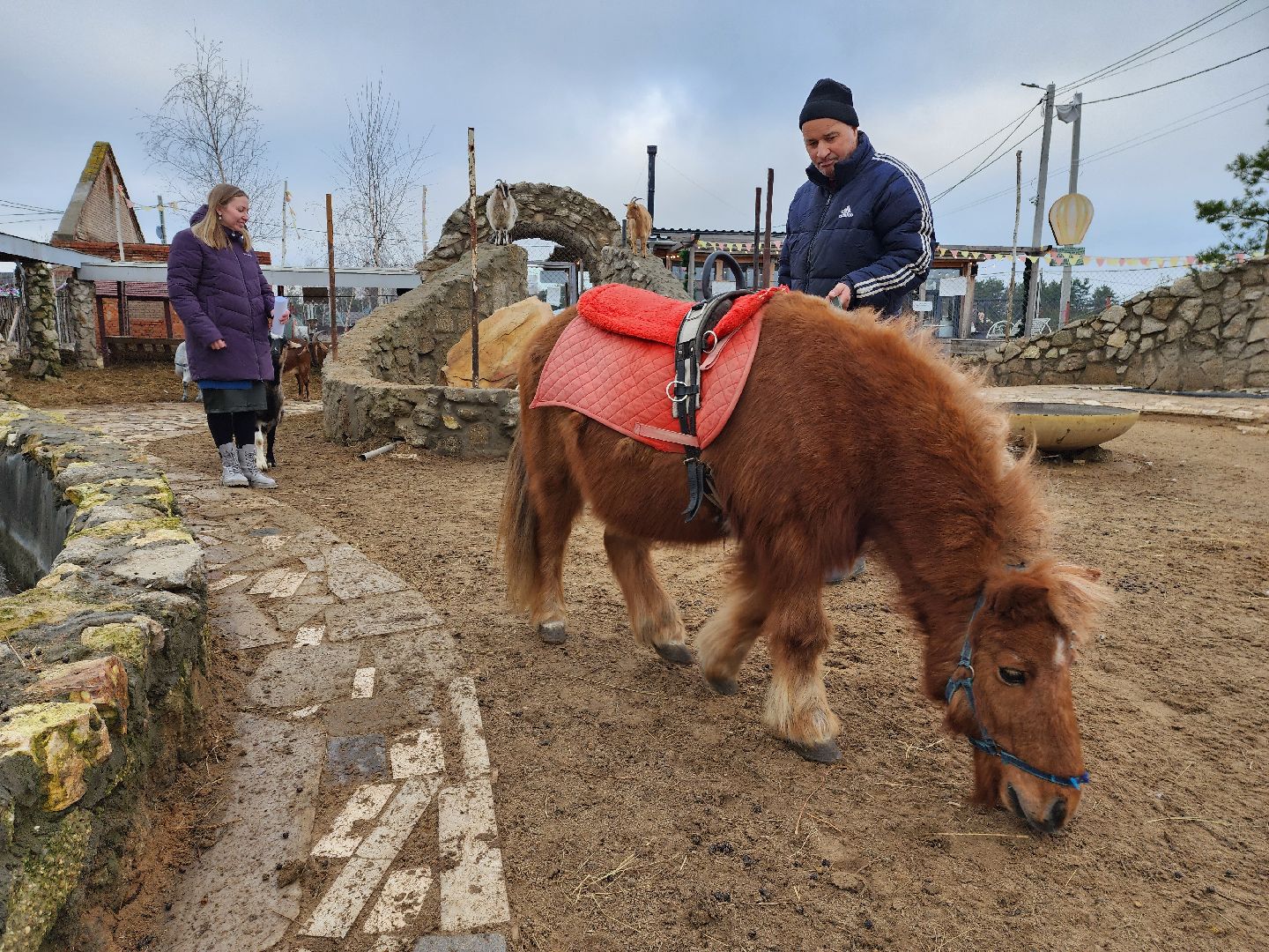 раменское, туризм, ферма 56, пони, вертикалка,