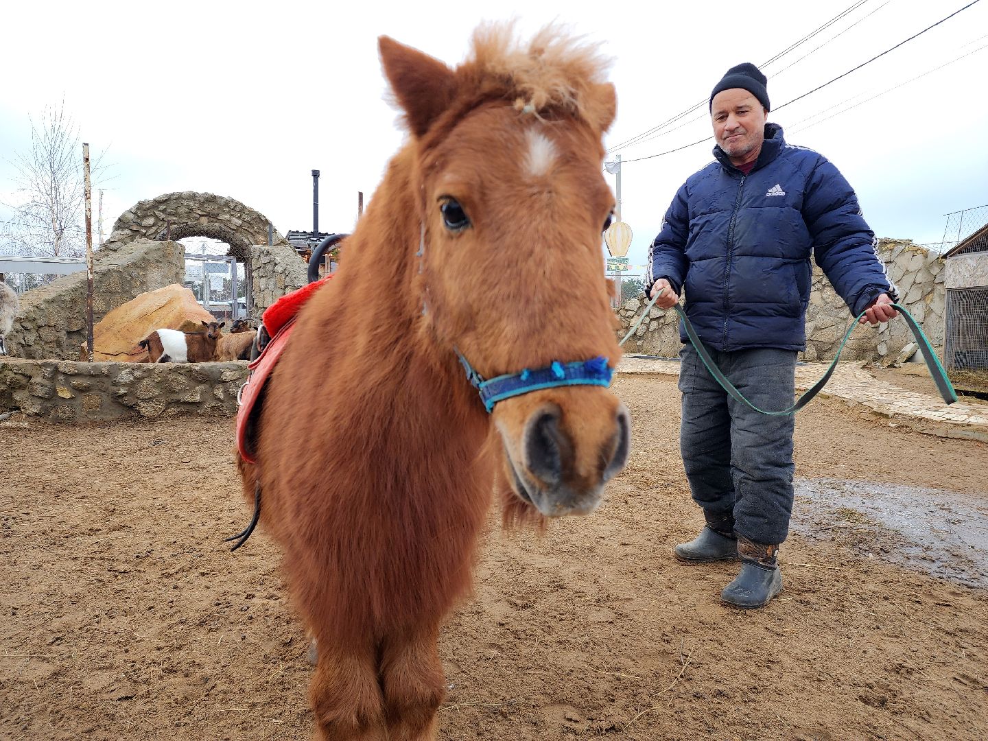 раменское, туризм, ферма 56, пони, вертикалка,