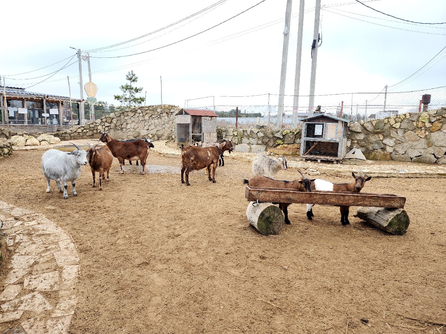 раменское, туризм, ферма 56, пони, вертикалка,