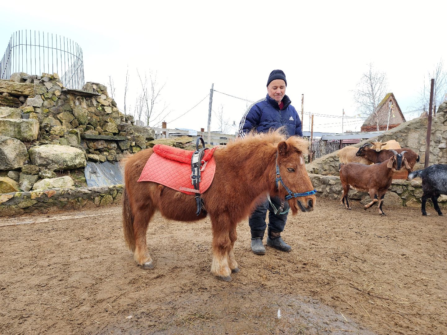 раменское, туризм, ферма 56, пони, вертикалка,