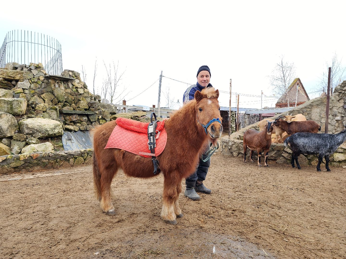 раменское, туризм, ферма 56, пони, вертикалка,