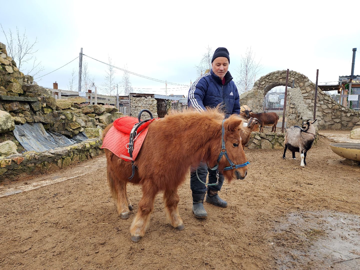 раменское, туризм, ферма 56, пони, вертикалка,