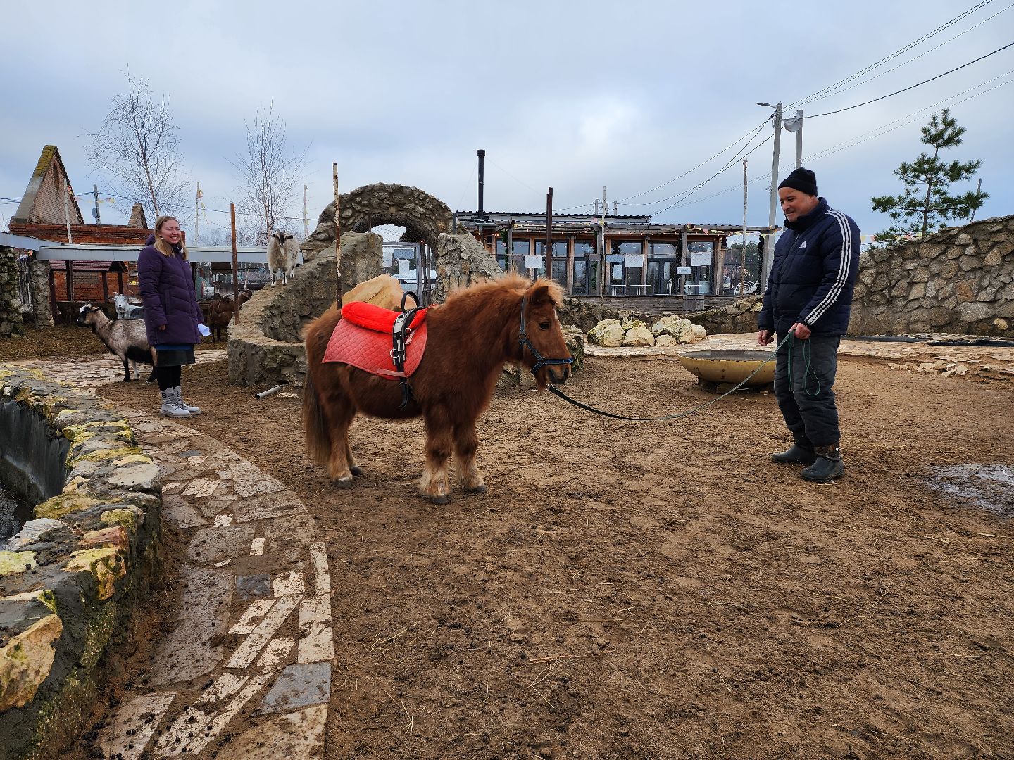 раменское, туризм, ферма 56, пони, вертикалка,