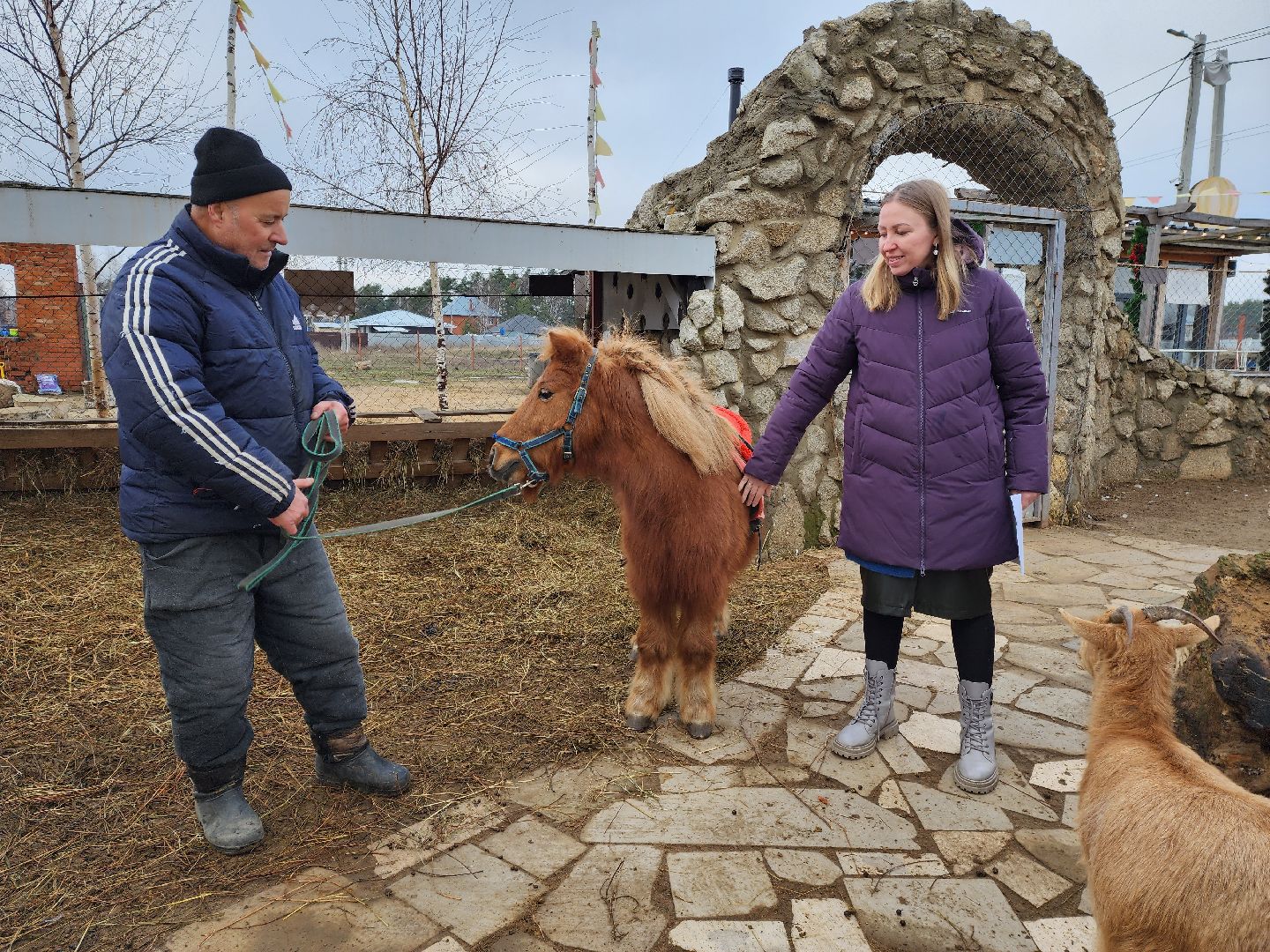 раменское, туризм, ферма 56, пони, вертикалка,